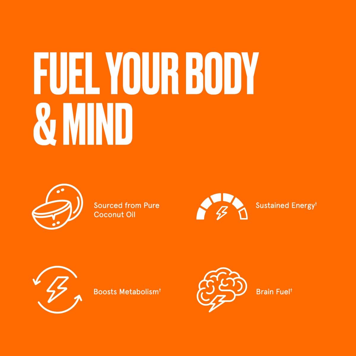 Brain Octane Premium C8 MCT Oil from Non-GMO Coconuts, 14g MCTs, 14 Fl Oz, Bulletproof Keto Supplement for Sustained Energy, Appetite Control, Mental & Physical Energy, Non-GMO, Vegan & Cruelty Free