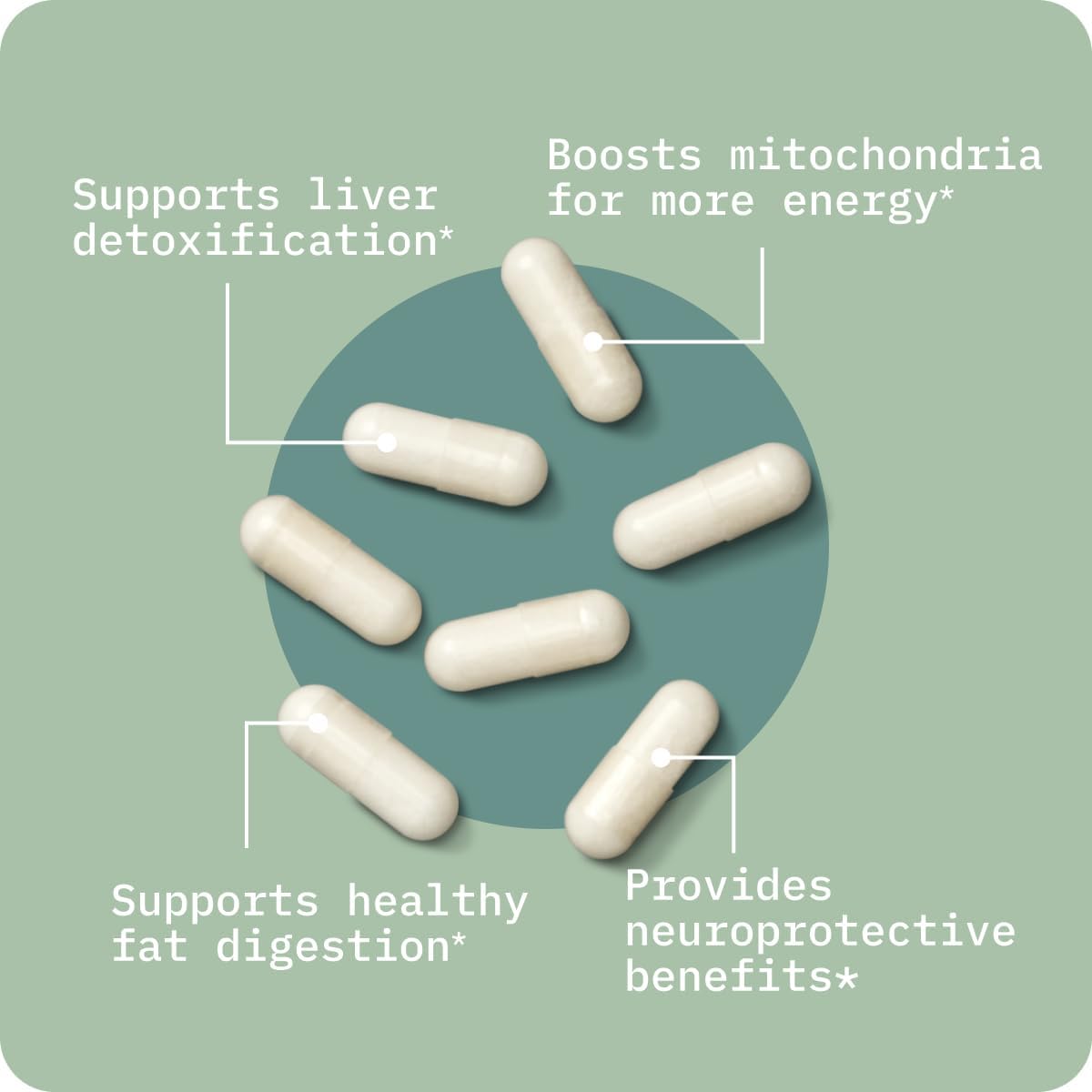 BodyBio TUDCA - Pure Tauroursodeoxycholic Acid Supplement - Support Bile Flow, Fat Metabolism & Liver Detox