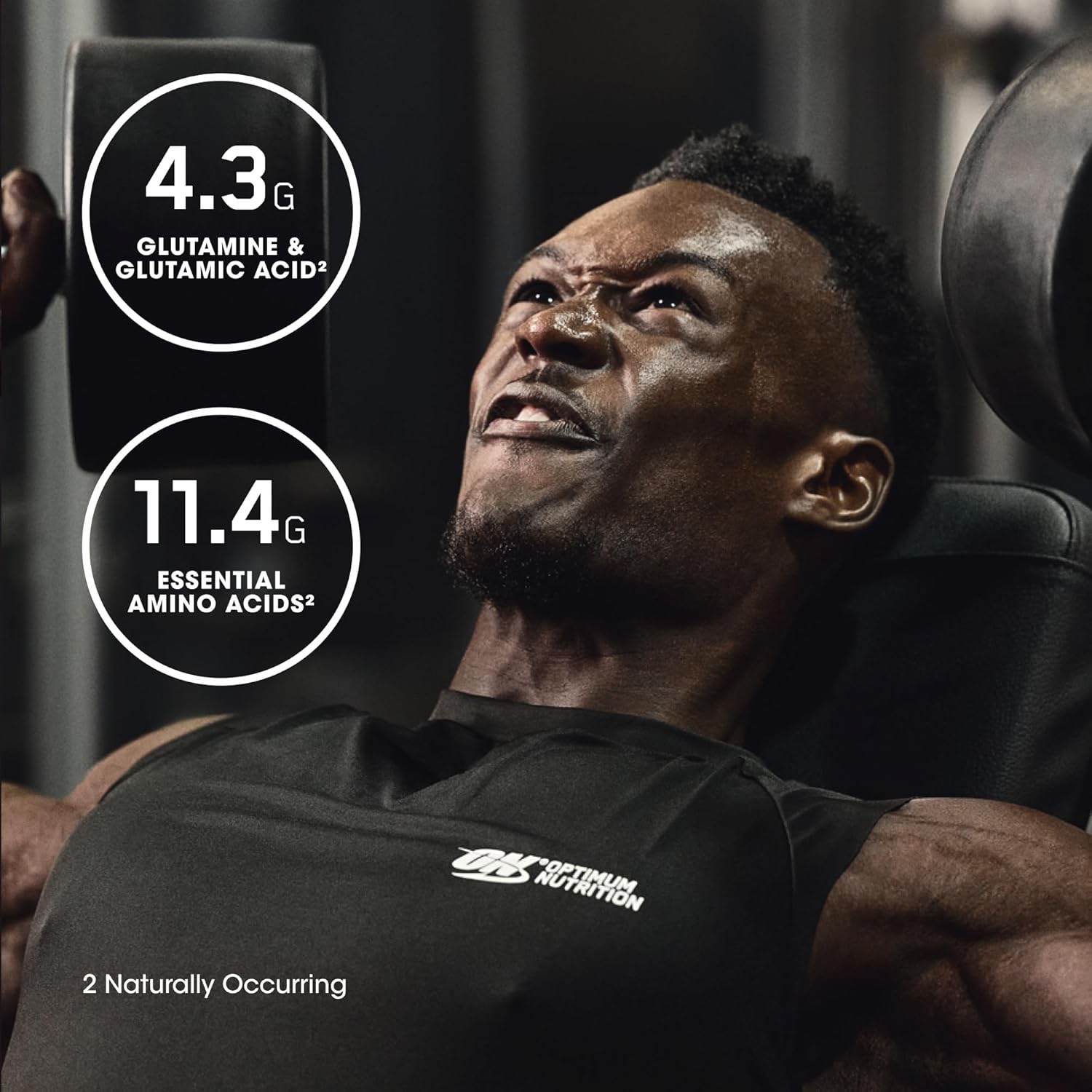 Optimum Nutrition Gold Standard 100% Isolate, Protein Powder, Chocolate Bliss, 3 Pounds, 44 Servings. Whey Protein Isolate