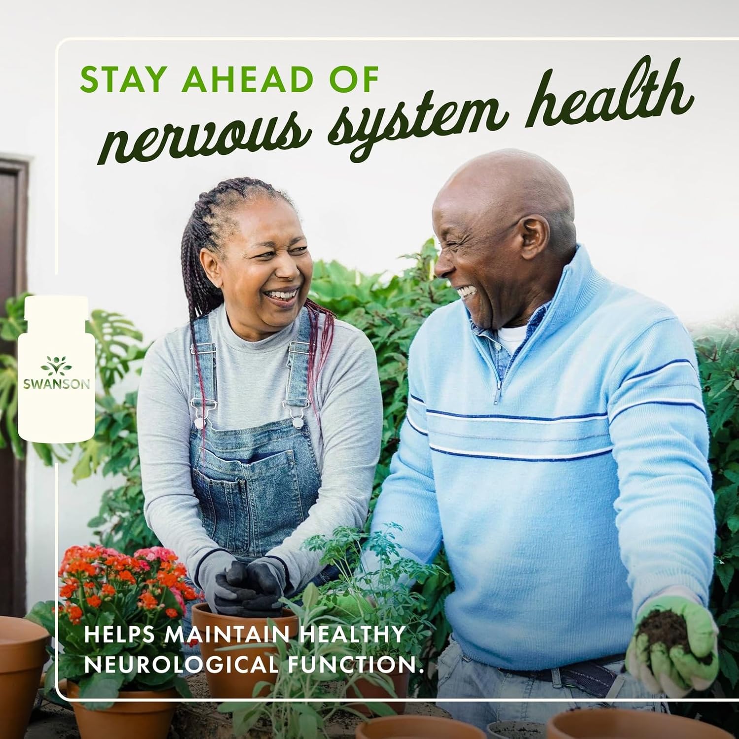 Acetyl L-Carnitine 500 mg 100 Caps by Swanson Premium