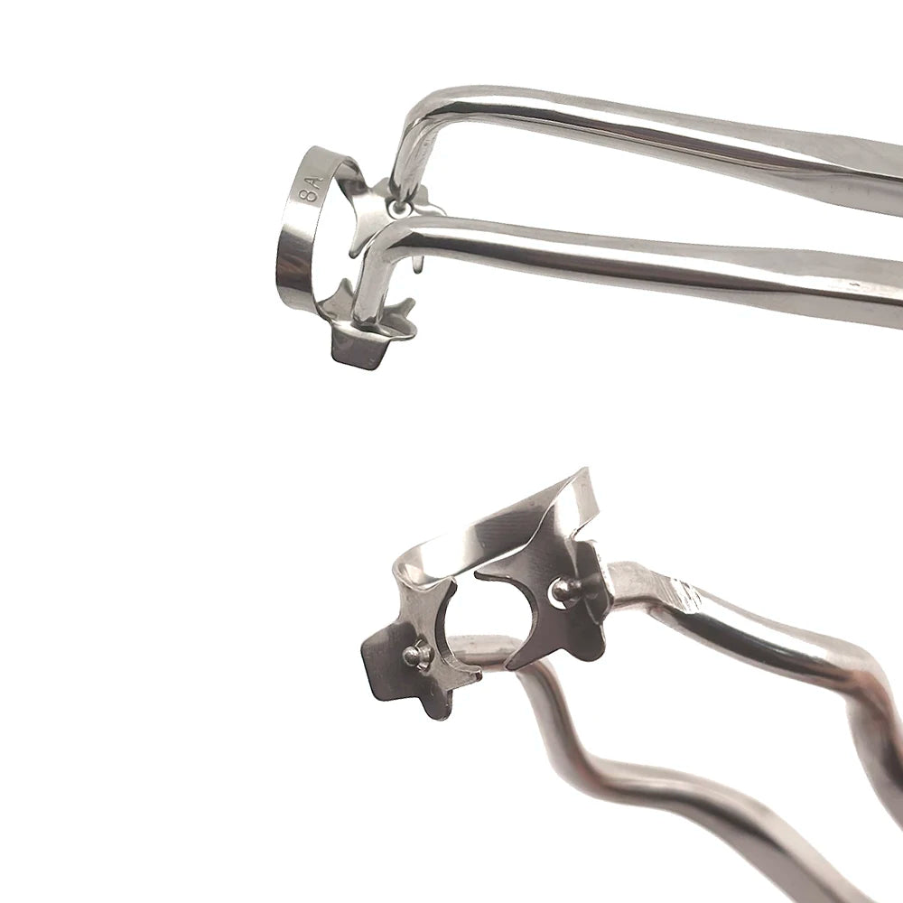 Professional Dental Rubber Dam Clamps | Endodontic Hygenic Brinker Universal Retractors| Tissue Gingival Lower Molars | Restorative Instruments Tools CE (Clamps Set of 5)