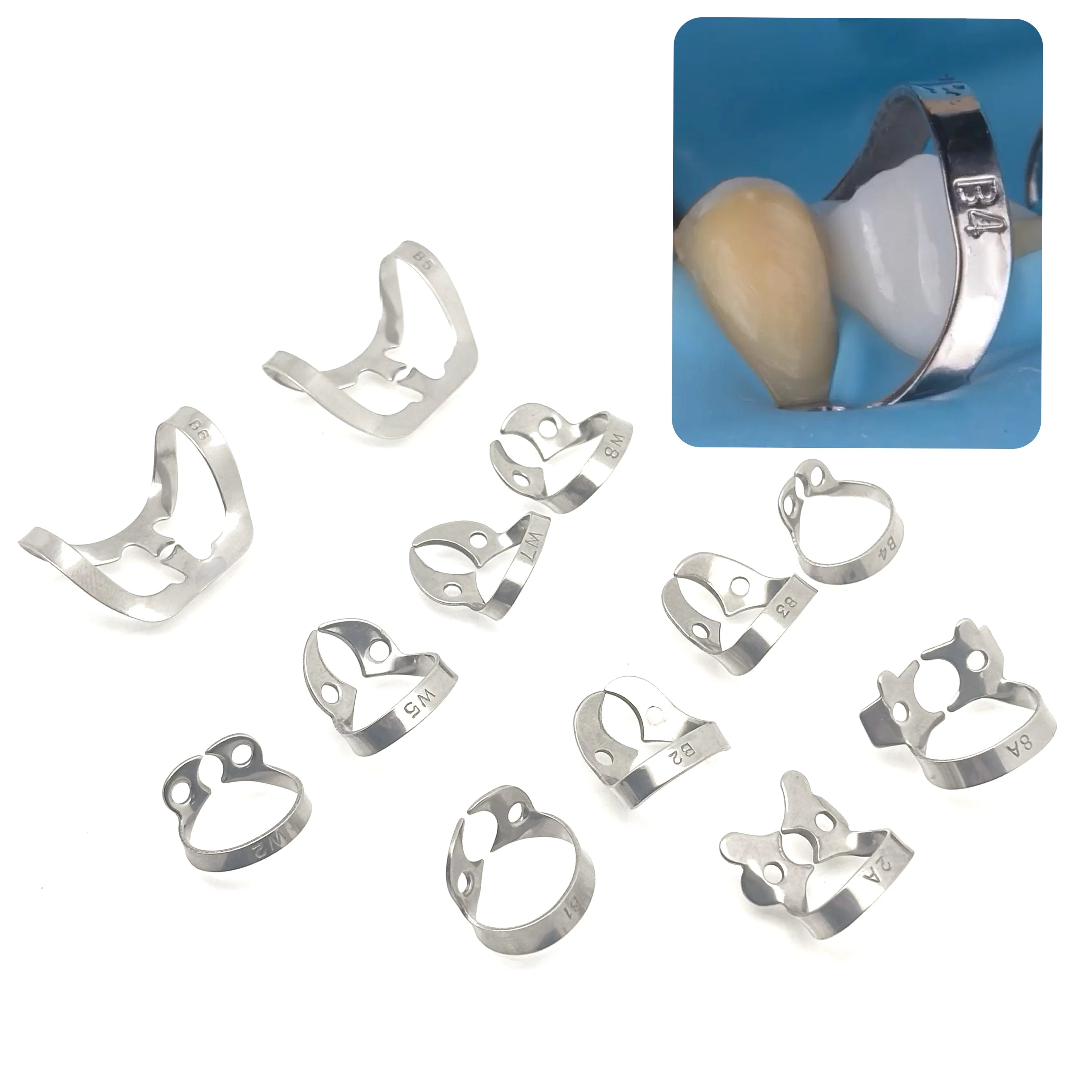 Professional Dental Rubber Dam Clamps | Endodontic Hygenic Brinker Universal Retractors| Tissue Gingival Lower Molars | Restorative Instruments Tools CE (Clamps Set of 5)